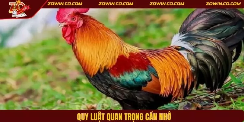 Quy luật quan trọng cần nhớ