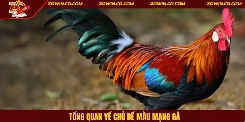 Tổng quan về chủ đề màu mạng gà