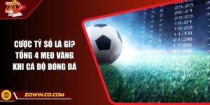 Cược Tỷ Số Là Gì? Tổng 4 Mẹo Vàng Khi Cá Độ Bóng Đá