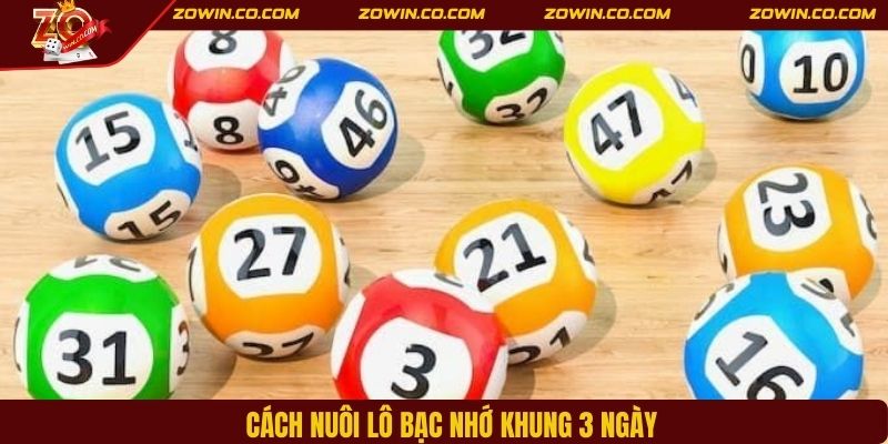 Cách nuôi bạc nhớ theo khung 3 ngày cho tân thủ