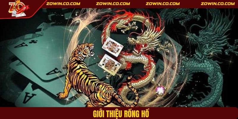 Giới thiệu rồng hổ