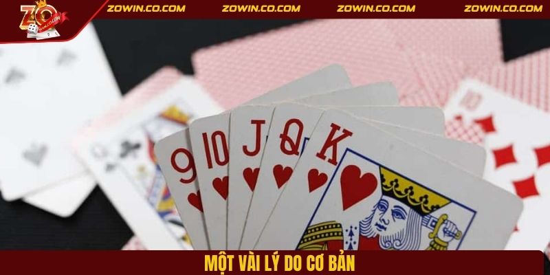 Một vài lý do cơ bản